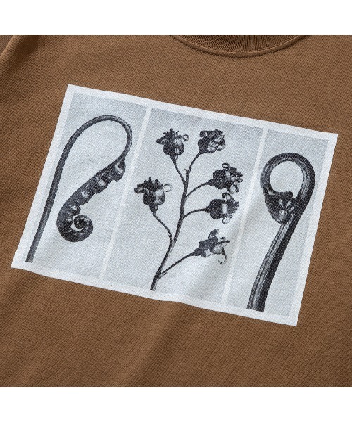Kinetics（キネティクス）の「Kinetics WOMEN FLOWER T-SHIRT（キネティクスウィメン フラワー ティーシャツ）（Tシャツ/カットソー・メンズ・ブラック/ブラウン/ホワイト・FREE）」の17枚目の写真