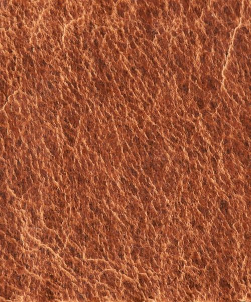 G-STAR（ジースター）の「Drego Belt（ベルト・メンズ・ライトブラウン/ダークブラック・90/100/80/85/95/75）」の8枚目の写真