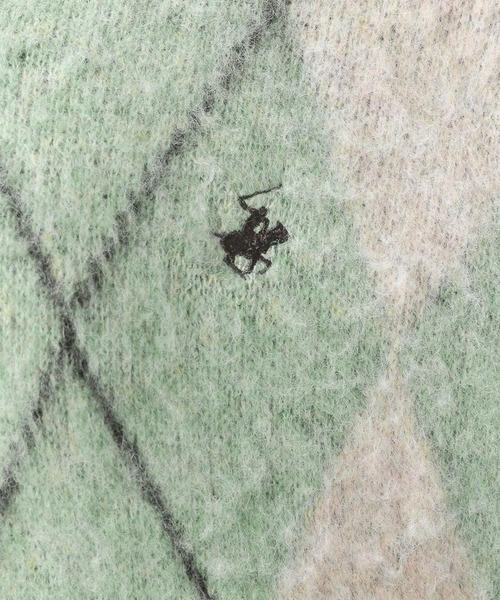 BEVERLY HILLS POLO CLUB(ビバリーヒルズポロクラブ)の「【BEVERLY HILLS POLO CLUB】アーガイルVネックプルオーバー(ニット/セーター・レディース・グリーン/ブルー/イエロー・FREE)」の20枚目の写真