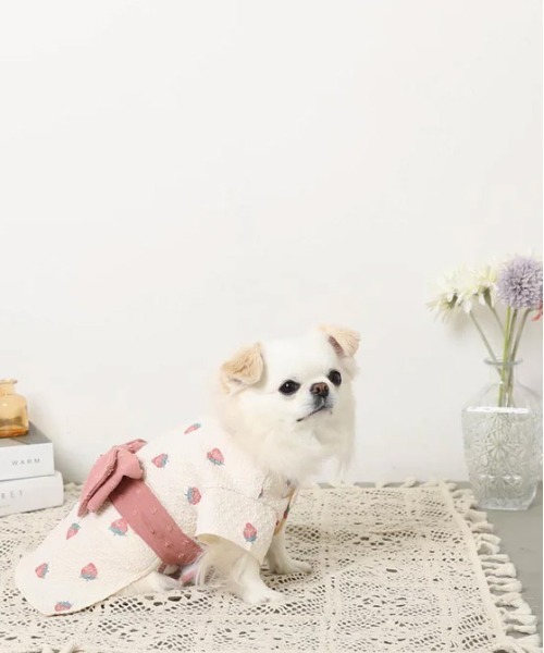 セール】[moncheri モンシェリ] 冷感水彩いちご柄浴衣 / 犬 犬服