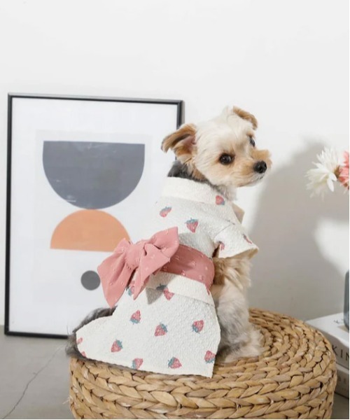 セール】[moncheri モンシェリ] 冷感水彩いちご柄浴衣 / 犬 犬服