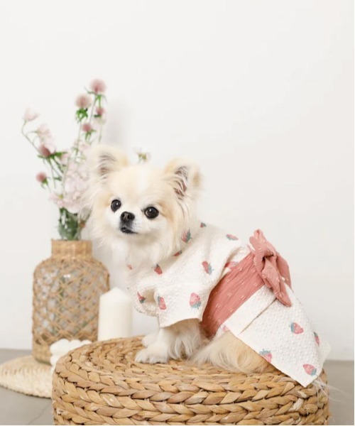 moncheri（モンシェリ）の「冷感水彩いちご柄浴衣（ペットウェア・レディース・ピンク・S/M/L/XL/XS/2M）」の18枚目の写真