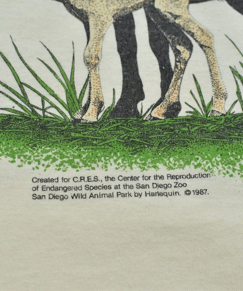 VINTAGE（ヴィンテージ）の「【ヴィンテージ古着】80's アニマルプリント Tシャツ USA製（Tシャツ/カットソー・メンズ・アイボリー・LARGE）」の11枚目の写真