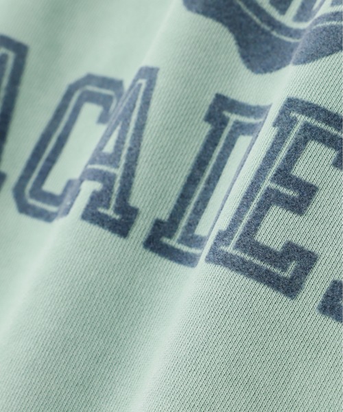 AVIREX(アヴィレックス)の「SWEAT T-SHIRT "USAFA" / スウェット 半袖Tシャツ / AVIREX / アヴィレックス(スウェット・メンズ・ピンク/ミント/チャコール・XX-LARGE/X-LARGE/LARGE/MEDIUM)」の7枚目の写真
