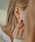 ear PAPILLONNERiCApslj́usX^[OVo[gpt~j~jt[vsAXisAXipjjvbVo[n̑4