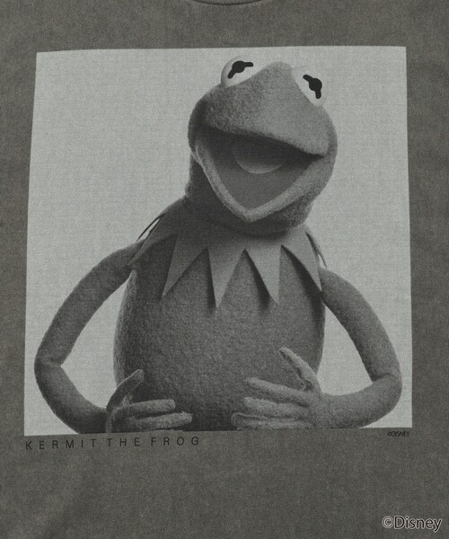 Firsthand（ファーストハンド）の「Firsthand/ファーストハンド The Muppets / ザ・マペッツ　THE MUPPETS / PHOTO / フロントプリント 半袖Tシャツ（Tシャツ/カットソー・メンズ・オフホワイト/チャコールグレー・M/L）」の12枚目の写真