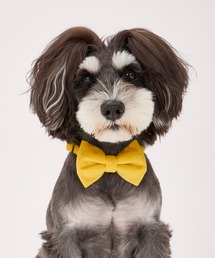 MANDARINE BROTHERS(}_uU[Y)̃{E^C/LplN^C(ybgp)