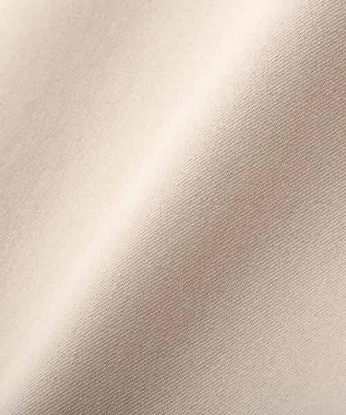 PROPORTION BODY DRESSING（プロポーションボディドレッシング）の「シアーレイヤードアイラインスカート / 1214120206（スカート・レディース・ベージュ/ダークグレー・MEDIUM/SMALL）」の21枚目の写真