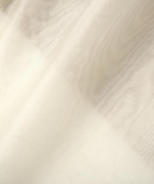 PROPORTION BODY DRESSING（プロポーションボディドレッシング）の「シアーレイヤードアイラインスカート / 1214120206（スカート・レディース・ベージュ/ダークグレー・MEDIUM/SMALL）」の22枚目の写真