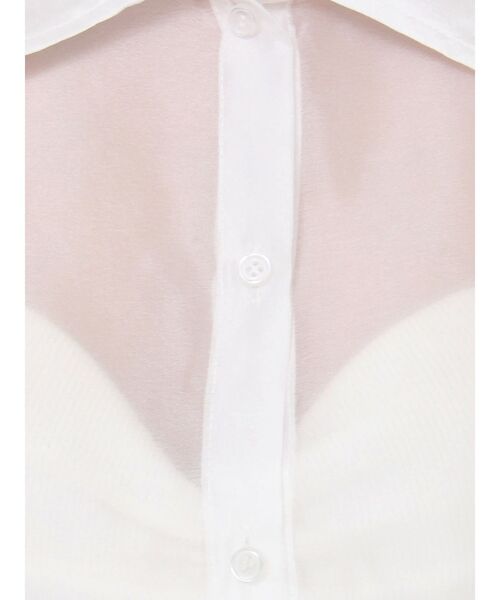 GYDA(ジェイダ)の「SHEERショートシャツ(シャツ/ブラウス・レディース・ブラック/その他1/オフホワイト・FREE)」の6枚目の写真