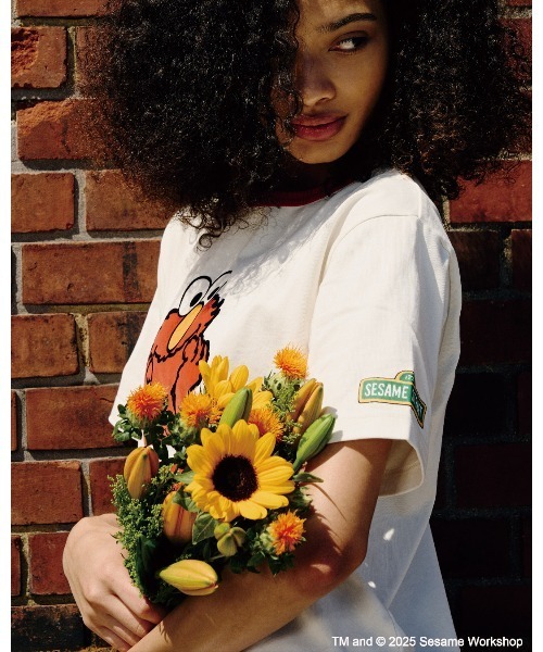 SESAME STREET(セサミストリート)の「《SESAME STREET meets AVIREX》RINGER T-SHIRT(Tシャツ/カットソー・レディース・サックスブルー/オフホワイト・F)」の5枚目の写真