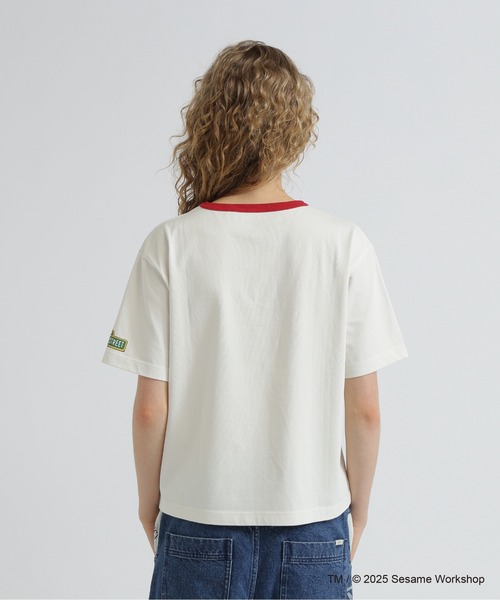 SESAME STREET(セサミストリート)の「《SESAME STREET meets AVIREX》RINGER T-SHIRT(Tシャツ/カットソー・レディース・サックスブルー/オフホワイト・F)」の12枚目の写真
