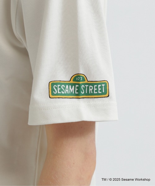 SESAME STREET(セサミストリート)の「《SESAME STREET meets AVIREX》RINGER T-SHIRT(Tシャツ/カットソー・レディース・サックスブルー/オフホワイト・F)」の15枚目の写真
