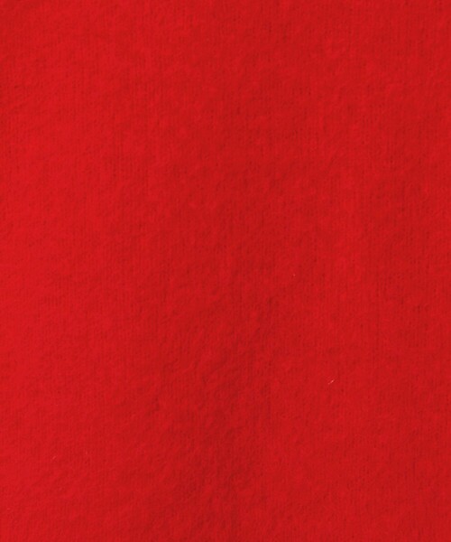 EMMEL REFINES（エメルリファインズ）の「＜EMMEL REFINES＞EM FOX/W/CA ニットプルオーバー（ニット/セーター・レディース・レッド/ライトグレー/パープル・FREE）」の9枚目の写真