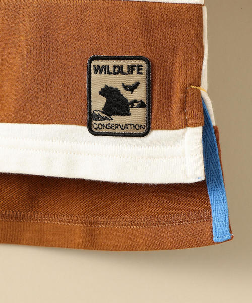 green label relaxing(グリーンレーベルリラクシング)の「キリカエボーダープルオーバー(Tシャツ/カットソー・キッズ・ブラック/ブラウン・135/105/115/125/95)」の6枚目の写真
