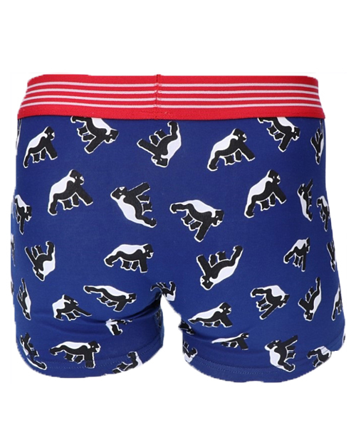 XLARGE(エクストララージ)の「XLARGE エクストララージ ロゴプリント ボクサーパンツ(ボクサーパンツ・メンズ・P/F/T/N/I/H/M/Q/K/O/G/R/S/C/L/A/D/E/J/B・L/XL/M)」の22枚目の写真