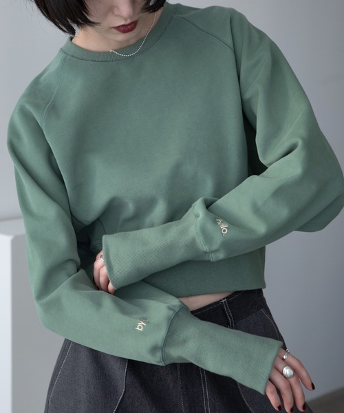 ノースフェイス ロゴ刺繍 ショート丈 トレーナー THE NORTH FACE トレーナー スウェット 国内未発売 FACE(ザ