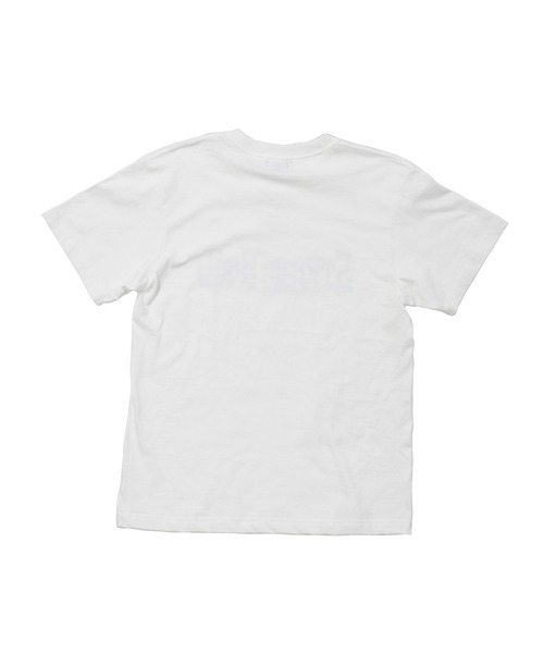 STREAM TRAIL(ストリームトレイル)の「Tシャツ PREMIUM LOGO(Tシャツ/カットソー・メンズ・ホワイト×ブルー/ブラック×ホワイト・M/L/S/XL)」の3枚目の写真