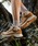 KEEN�i�L�[���j�́uHIGHTRAIL MID WP / �n�C�g���C�� �~�b�h �E�H�[�^�[�v���[�t / ���f�B�[�X �g���b�L���O�V���[�Y �h���i�u�[�c�j�v�b�u���E��