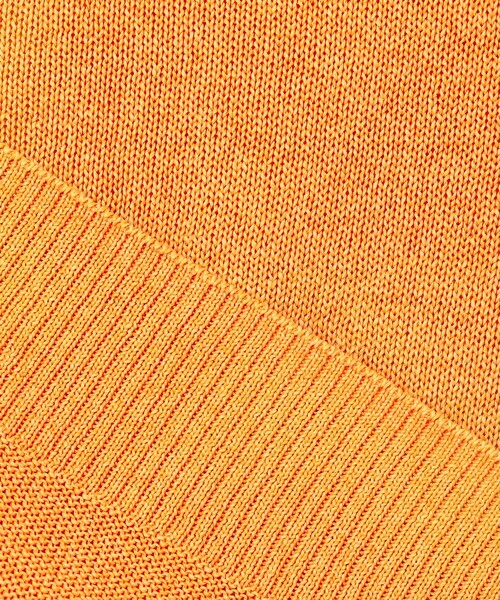 J.PRESS(ジェイプレス)の「【洗える】DRY COMFORT ニット(ニット/セーター・レディース・イエロー系/ブルー系/オレンジ系・F)」の21枚目の写真