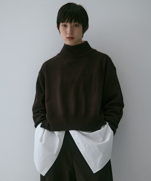 STUDIOUS（ステュディオス）の「【STUDIOUS/ステュディオス】Merino Wool Turtle Neck Knit/メリノウールタートルネックニット（ニット/セーター・レディース・ダークブラウン/レッド/ミント・FREE）」の2枚目の写真