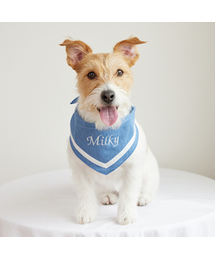 PETDERELLA PROJECT（ペッデレラプロジェクト）の「ネームクールスカーフ（ブルー）（ペットウェア）」