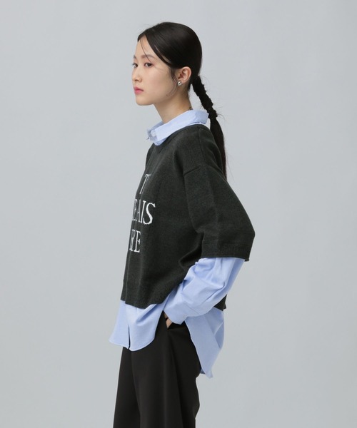 LEPSIM（レプシィム）の「12ゲージドッキングロゴプルオーバー　634222（ニット/セーター・レディース・ブラウン/グレー/ブラック・FREE）」の5枚目の写真