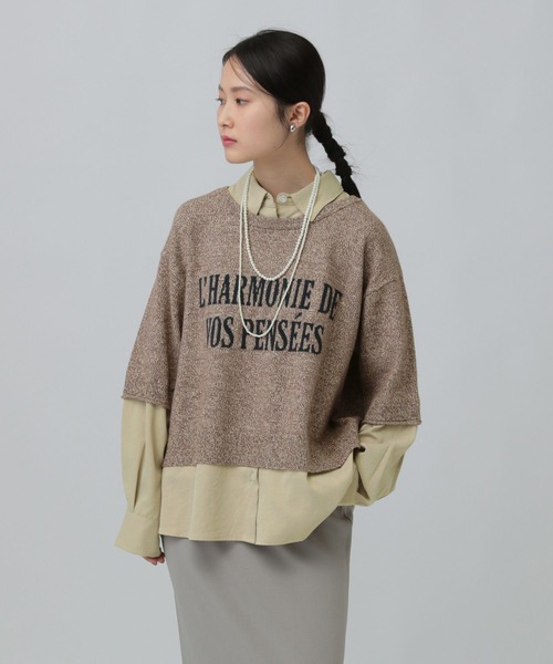 LEPSIM（レプシィム）の「12ゲージドッキングロゴプルオーバー　634222（ニット/セーター・レディース・ブラウン/グレー/ブラック・FREE）」の16枚目の写真