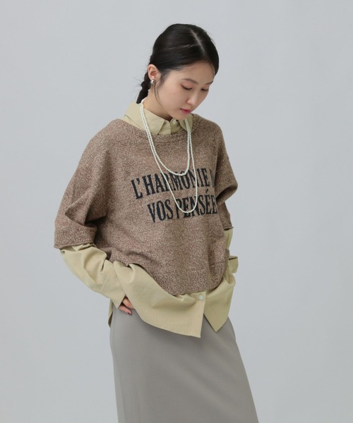 LEPSIM（レプシィム）の「12ゲージドッキングロゴプルオーバー　634222（ニット/セーター・レディース・ブラウン/グレー/ブラック・FREE）」の17枚目の写真