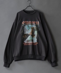 SITRY（シトリー）の「【HALHAM】スウェットカットソー（スウェット）」