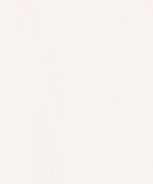 Barbarian（バーバリアン）の「【別注】BARBARIAN コットン ロングスリーブクルーネックカットソー（Tシャツ/カットソー・メンズ・ライトブルー/グレー/ブルー/ホワイト・S/M）」の5枚目の写真