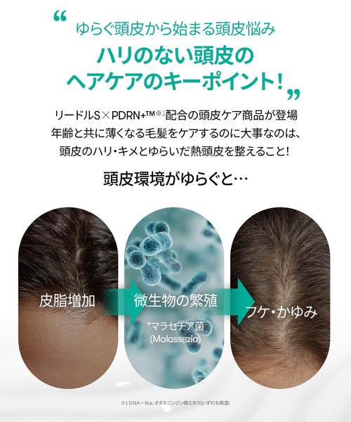 VT(ブイティー)の「VT PDRN+ リードルS ブラシヘアセラム(100ml)(その他ボディ・ヘアケア・レディース・その他・FREE)」の5枚目の写真
