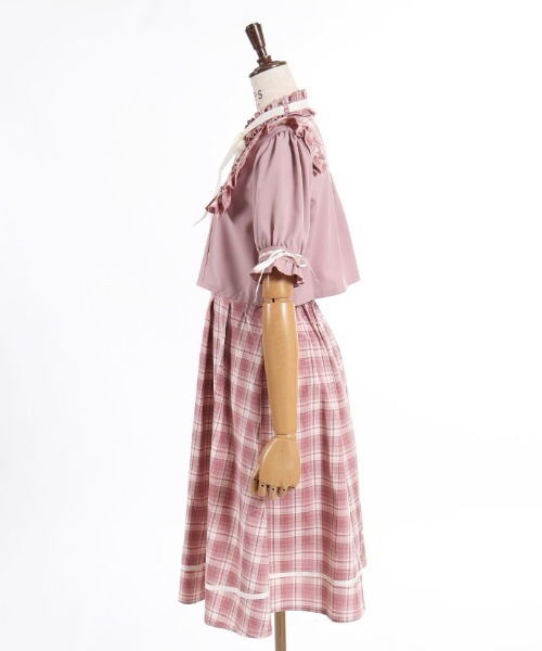 axes femme POETIQUE(アクシーズファムポエティック)の「レイヤード風ドッキングOP(ワンピース・レディース・ピンク/ブルー/ワイン・MEDIUM)」の18枚目の写真