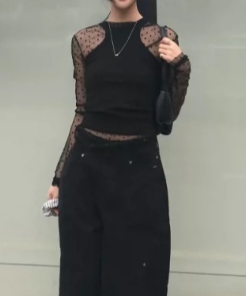 Vipoa(ヴィポア)の「Polka dot tulle tops(Tシャツ/カットソー・レディース・ホワイト/ブラック・FREE)」の14枚目の写真