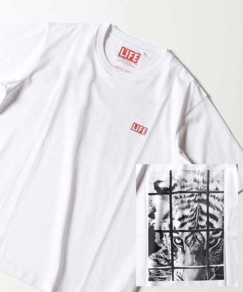MEN'S BIGI（メンズビギ）の「[コラボアイテム]LIFE×MEN'S BIGI 【トラ】フォトTシャツ（Tシャツ/カットソー・メンズ・ホワイト・02/03）」の8枚目の写真