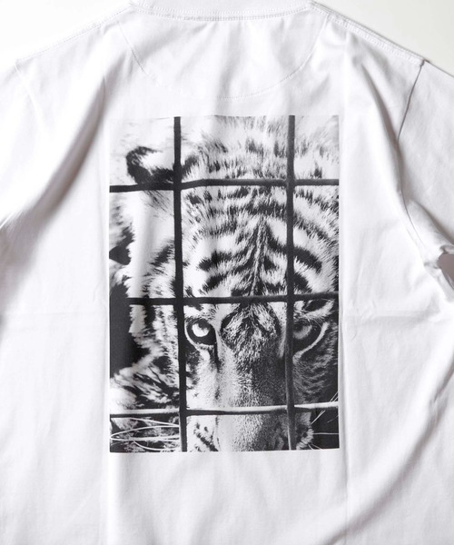 MEN'S BIGI（メンズビギ）の「[コラボアイテム]LIFE×MEN'S BIGI 【トラ】フォトTシャツ（Tシャツ/カットソー・メンズ・ホワイト・02/03）」の2枚目の写真