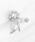 TOCCA�i�g�b�J�j�́uDAISY FLOWER BROOCH NECKLACE 2WAY �u���[�`�l�b�N���X�i�u���[�`/�R�T�[�W���j�v�b�V���o�[�n