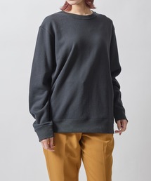 【DISCUS】USA COTTON 裏毛レギュラースウェット 2487-4763