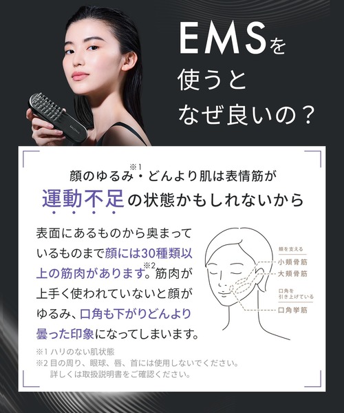 セール】SALONIA サロニア EMSリフトブラシ 3Dケア SAL24305BK（美容