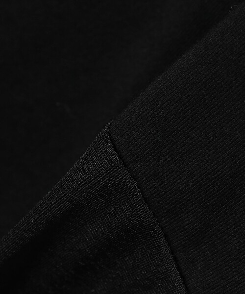 Ray BEAMS(レイビームス)の「シアー キリカエ Tシャツ(Tシャツ/カットソー・レディース・ブラック/ホワイト・ONE SIZE)」の4枚目の写真