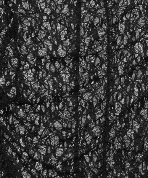 mysty woman(ミスティウーマン)の「総レースハイネックギャザープルオーバー 606418(Tシャツ/カットソー・レディース・オフホワイト/ブラウン/ブラック・FREE)」の16枚目の写真