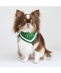 PETDERELLA PROJECT（ペッデレラプロジェクト）の「ネームクールスカーフ（グリーン）（ペットウェア）」