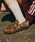 adidas�i�A�f�B�_�X�j�́u�n���h�{�[�� �X�y�c�B�A�� ���[�t�@�[ / HANDBALL SPEZIAL LOAFER / �A�f�B�_�X�I���W�i���X adidas Originals ���[�t�@�[�X�j�[�J�[�i�X�j�[�J�[�j�v�b�x�[�W��