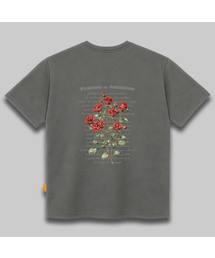 ローズルーズ 半袖Tシャツ 男女共用 ビッグサイズ