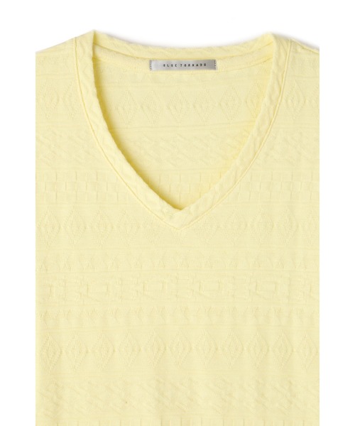BLUE TORNADO（ブルートルネード）の「BLUE TORNADO∴リンクスジャガード半袖VネックTee（Tシャツ/カットソー・メンズ・ライトグリーン・M/L）」の10枚目の写真