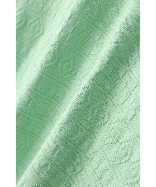 BLUE TORNADO（ブルートルネード）の「BLUE TORNADO∴リンクスジャガード半袖VネックTee（Tシャツ/カットソー・メンズ・ライトグリーン・M/L）」の17枚目の写真