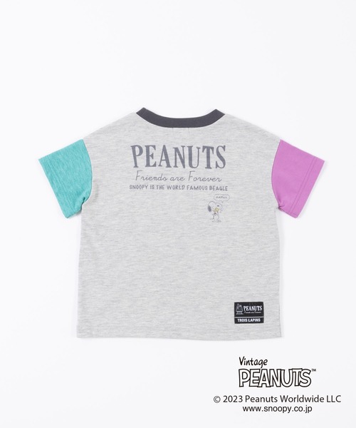 Vintage PEANUTS(ビンテージピーナッツ)の「PEANUTS/スヌーピーコラボ 袖配色半袖Tシャツ(100~130cm)(Tシャツ/カットソー・キッズ・杢グレー/ベージュ・110cm/100cm/130cm/120cm)」の7枚目の写真