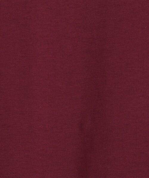 Les petits basics(ルベーシック)の「Les Petits Basics Tulipes. Tシャツ(Tシャツ/カットソー・レディース・レッド系その他・XS)」の10枚目の写真