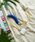 BIRTHDAY BARio[XfCo[j́uySAHIR Tq[zBicolor cable lightningiX}zObYjvbu[