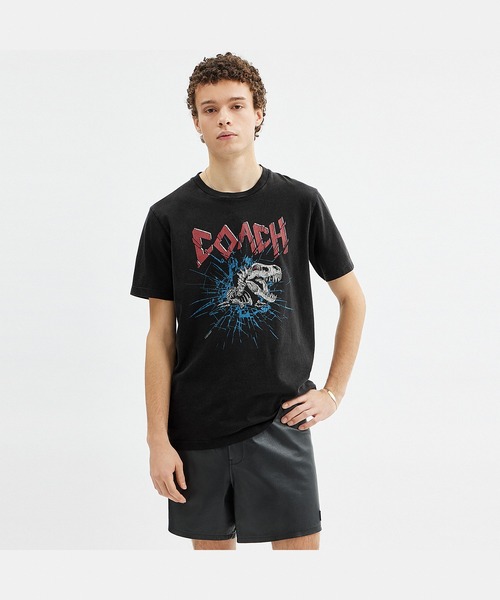 結咲011様 希少！COACH シグネチャーTシャツ ダークグレー エッセンシャル シグネチャー Tシャツ （Tシャツ）｜COACH